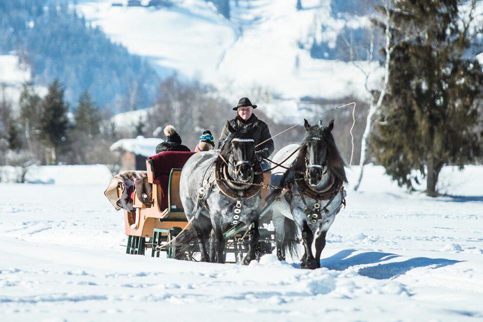 Pferdeschlittenfahren - Winterurlaub in Radstadt, Salzburger Land